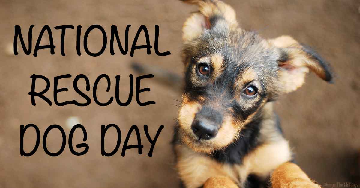 Celebrating National Rescue Dog Day May 20th, 2023: Honoring Our Furry Friends with Wall Words Quotes