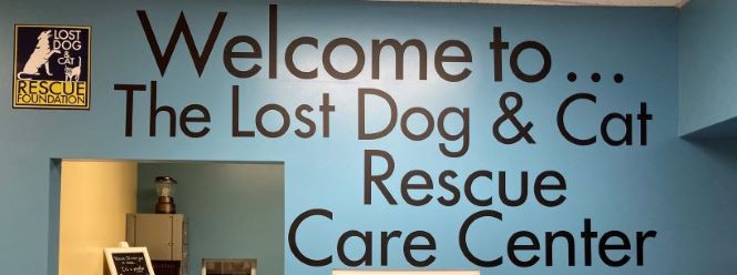 WAYS CUSTOM VINYL LETTERING DESIGNS CAN BENEFIT YOUR BUSINESS
